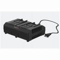 Positec Usa 20V LiIon Dual Charger WA3884